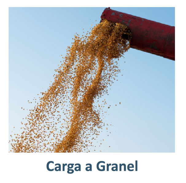 Imagen del servicio que ofrece