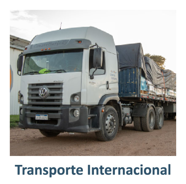 Imagen del servicio que ofrece